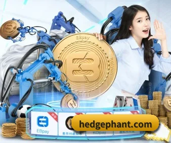 fb体育 APP 界面